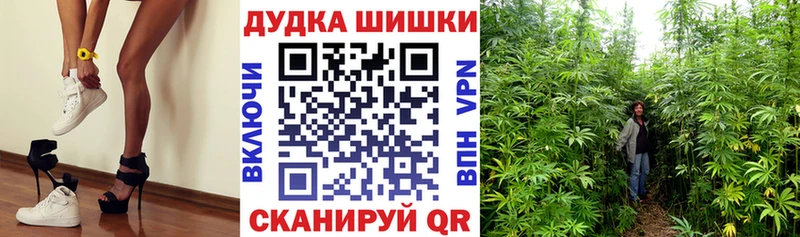 Купить закладку Алзамай Alpha-PVP Гашиш Канабис Cocaine