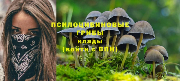 прущая мука Мурманск